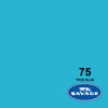 Picture of 53" Seamless True Blue 75-1253