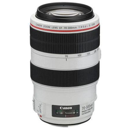 Picture of Canon 70-300mm f/4.0-5.6 L IS Lens