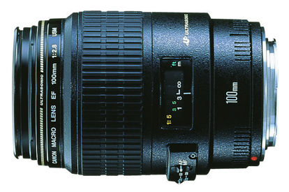 Picture of Canon 100mm F2.8 Macro Lens