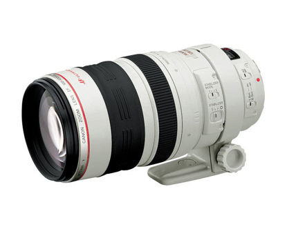 Picture of Canon 100-400mm F4.5-5.6 IS