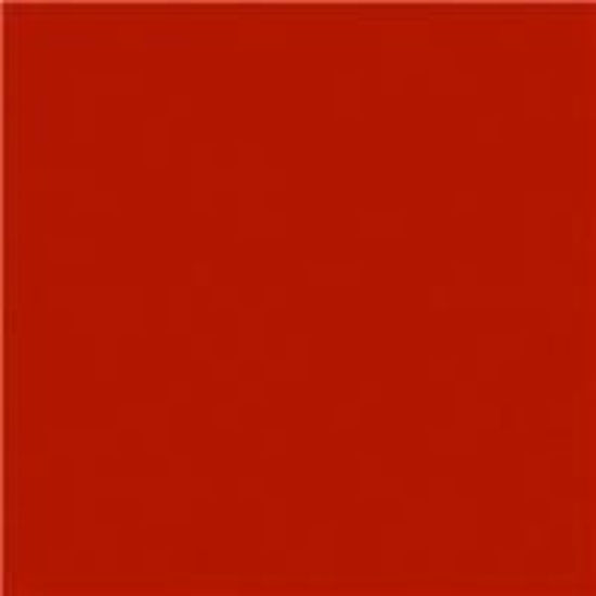 Picture of 20 X 24 Rosco  Primary Red 26